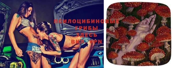 прущие крисы Алексин
