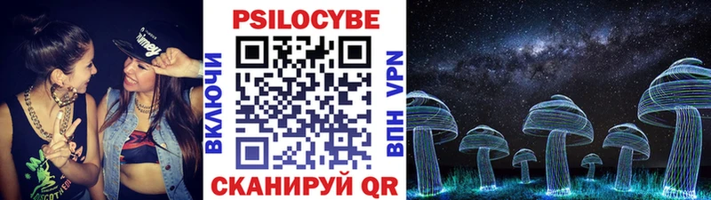 блэк спрут зеркало Камызяк Галлюциногенные грибы прущие грибы